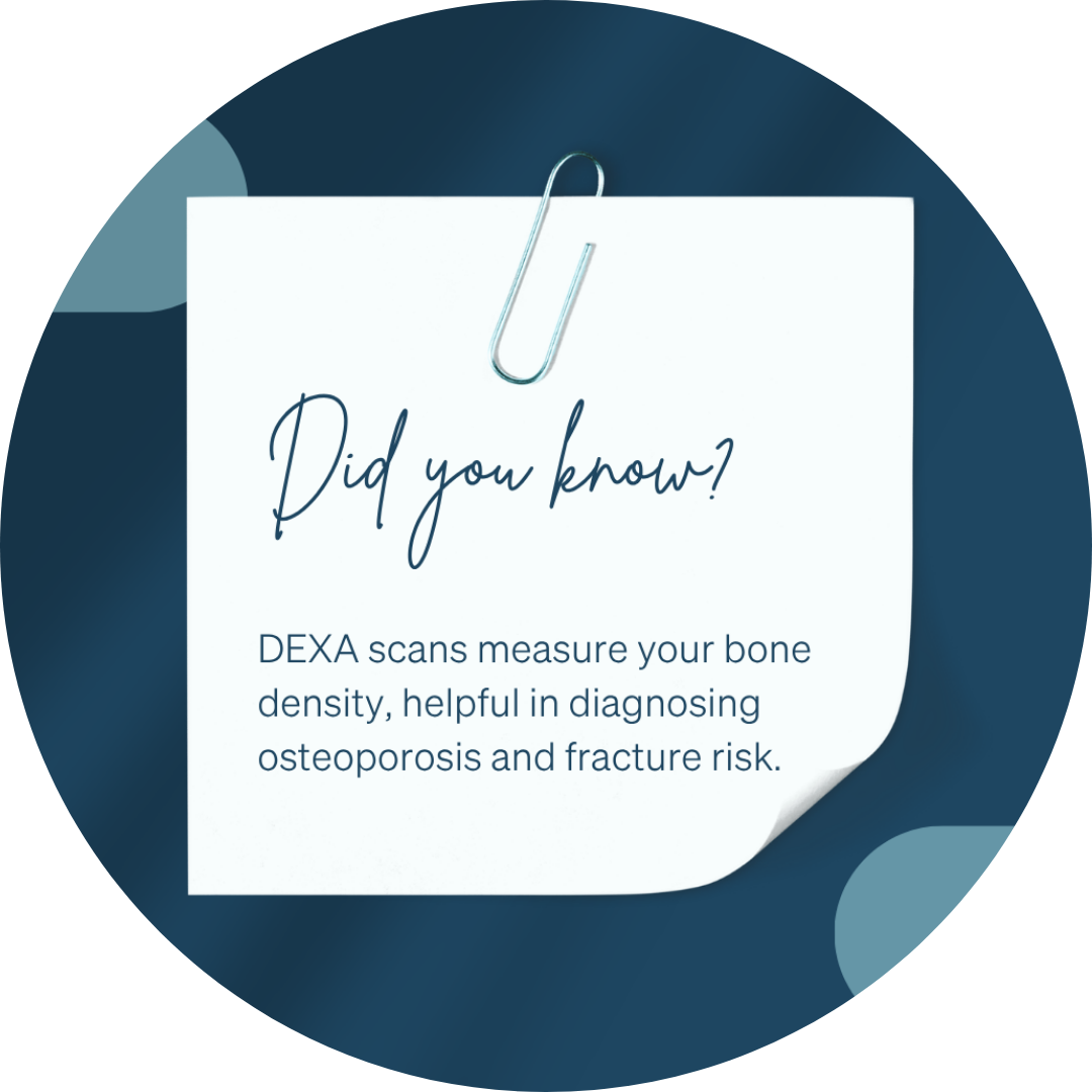 DEXA Scans: An Explanation - 4ways